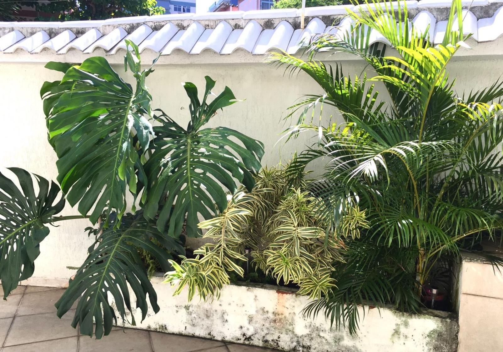 Séjour chez l'habitant Completa Varandao