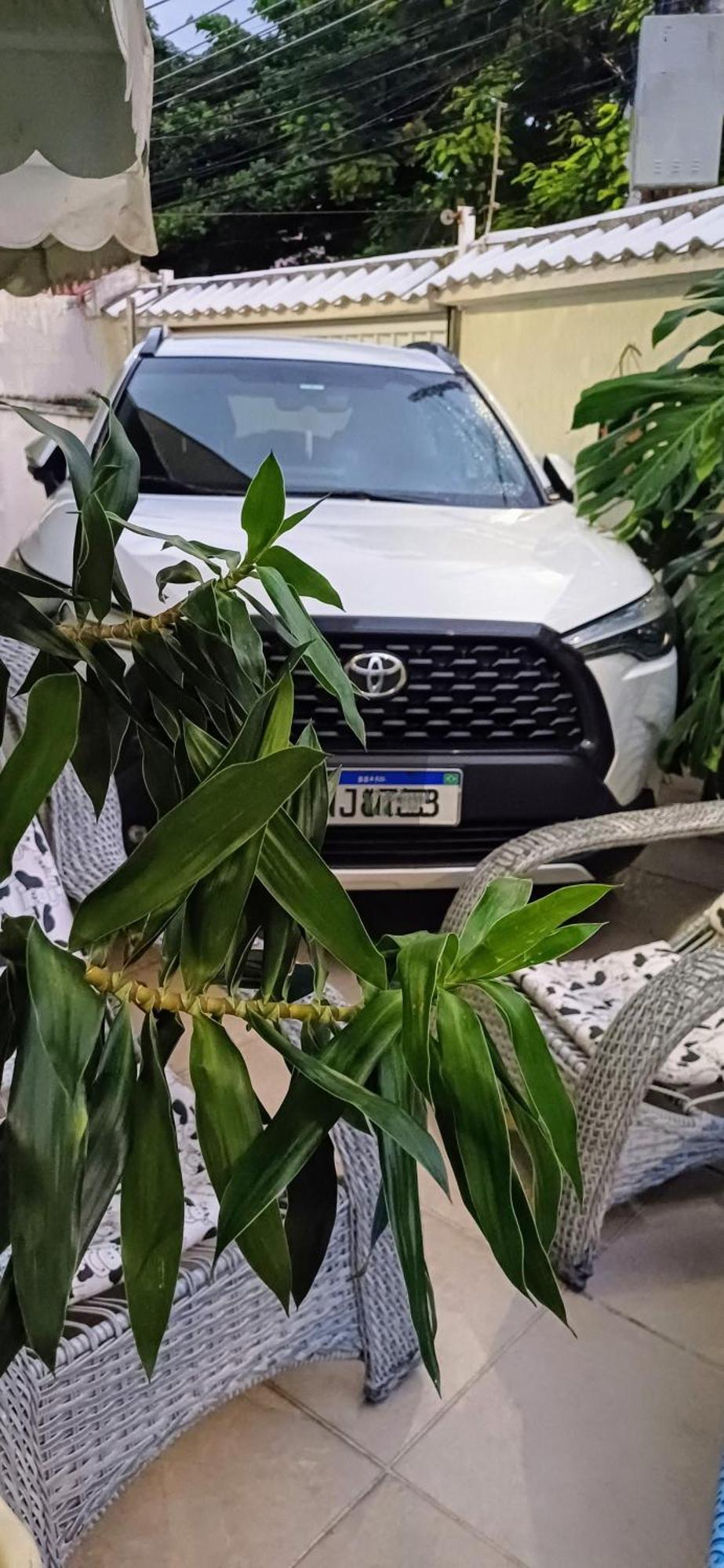 Familiar Varandao Séjour chez l'habitant Rio de Janeiro